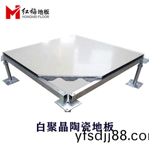 白(bai)聚晶防靜電地闆(ban)3.jpg